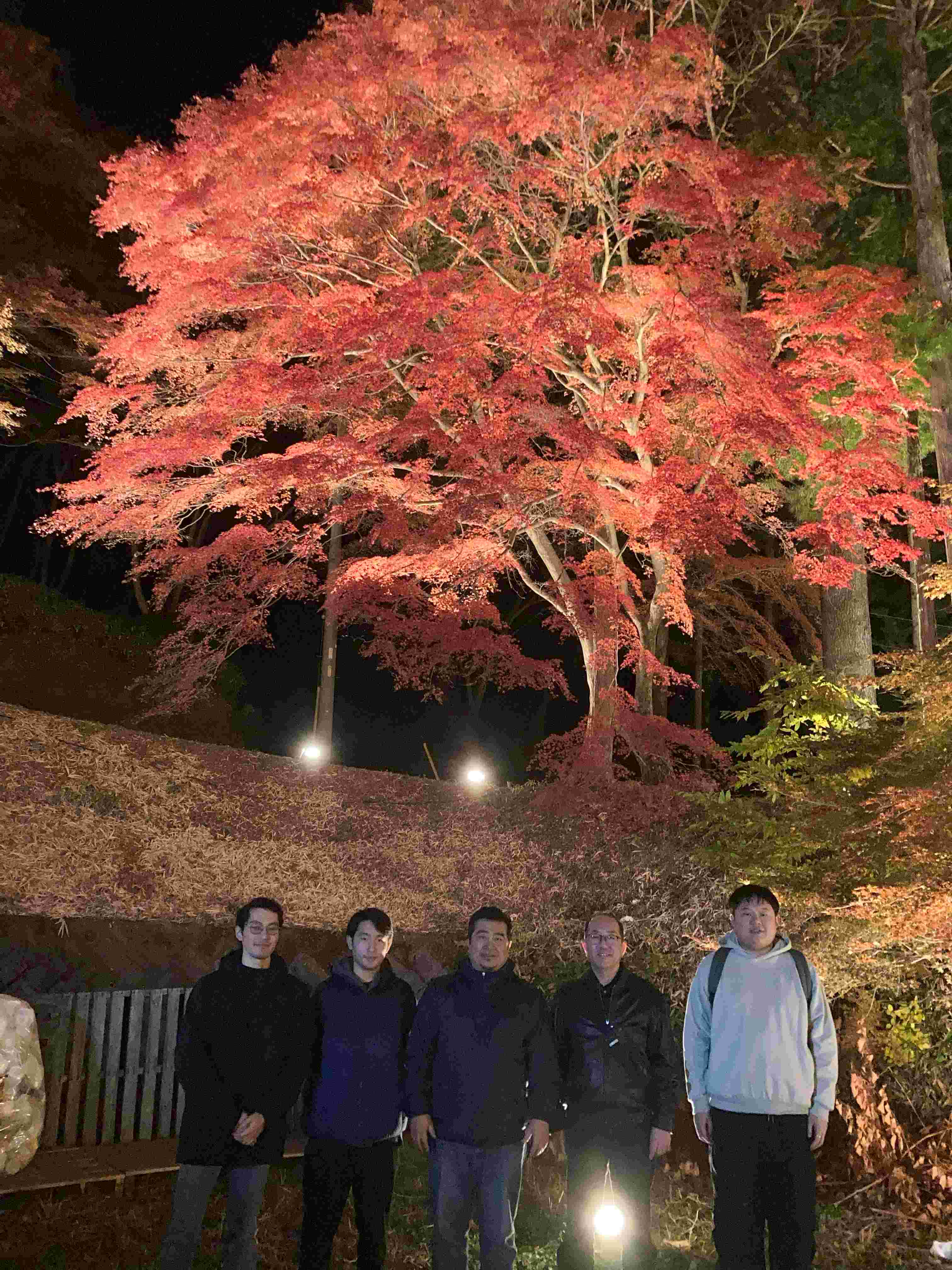 曾木公園もみじライトアップ（11/22）